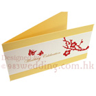 Wedding Butterflies - A Blessing from Spring